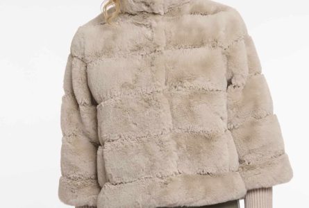 feline.7002512 birch 01