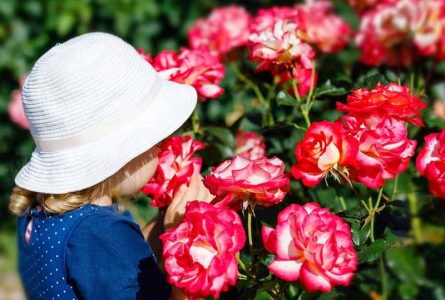 sommer bei poetschke